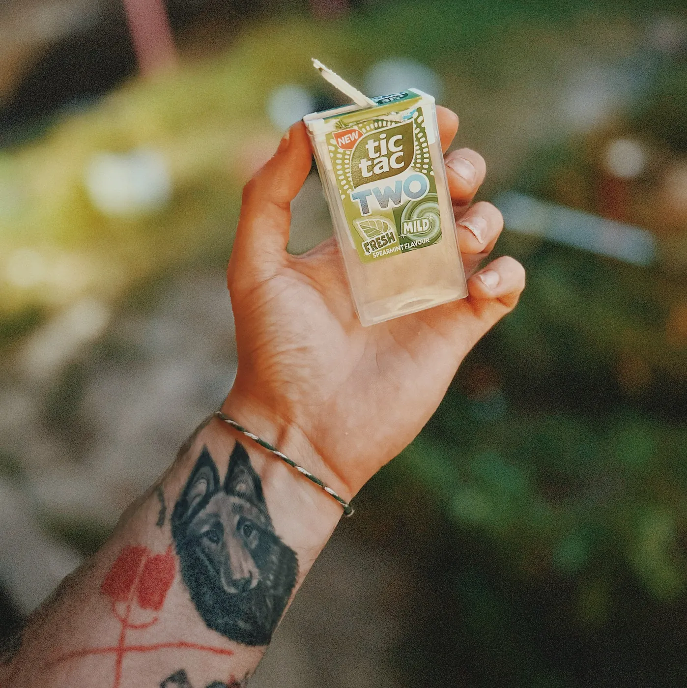 A hand holding an empty Tic Tac Two box, spearmint, with its lid flipped open, a wolf tattooed on the forearm and green foliage out of focus behind