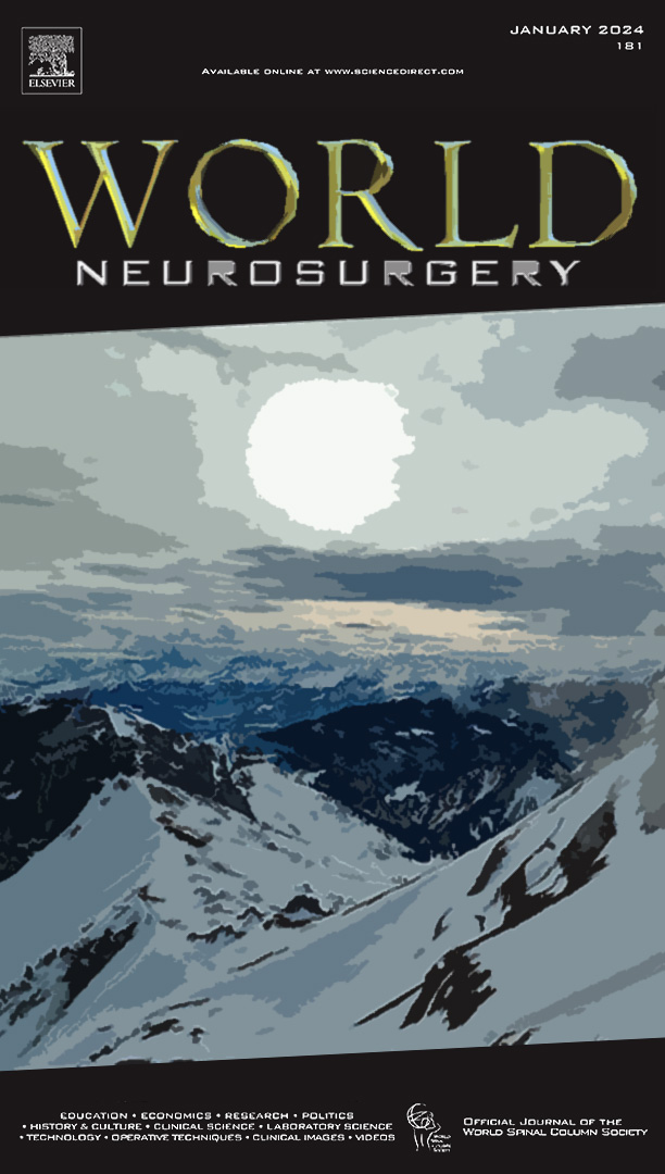 World Neurosurgery · Volume 181